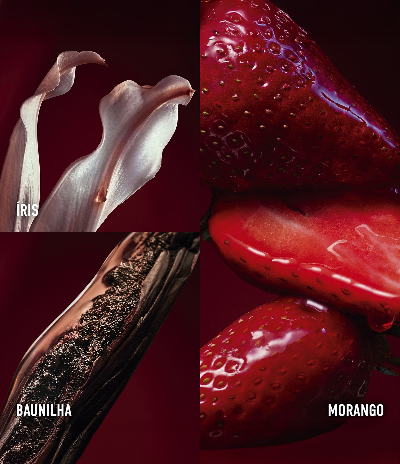 Rabanne Fame In Love Parfum Elixir  30ml 4