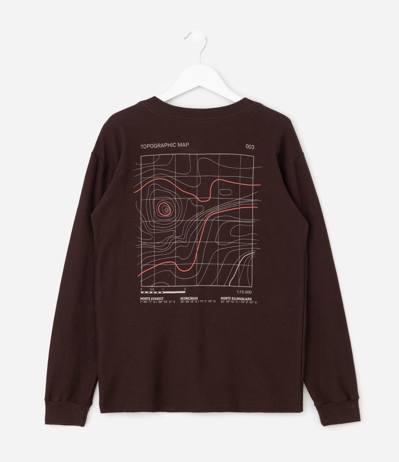 Camiseta Manga Longa Texturizada com Bordado - 5 a 14 Anos Marrom 2