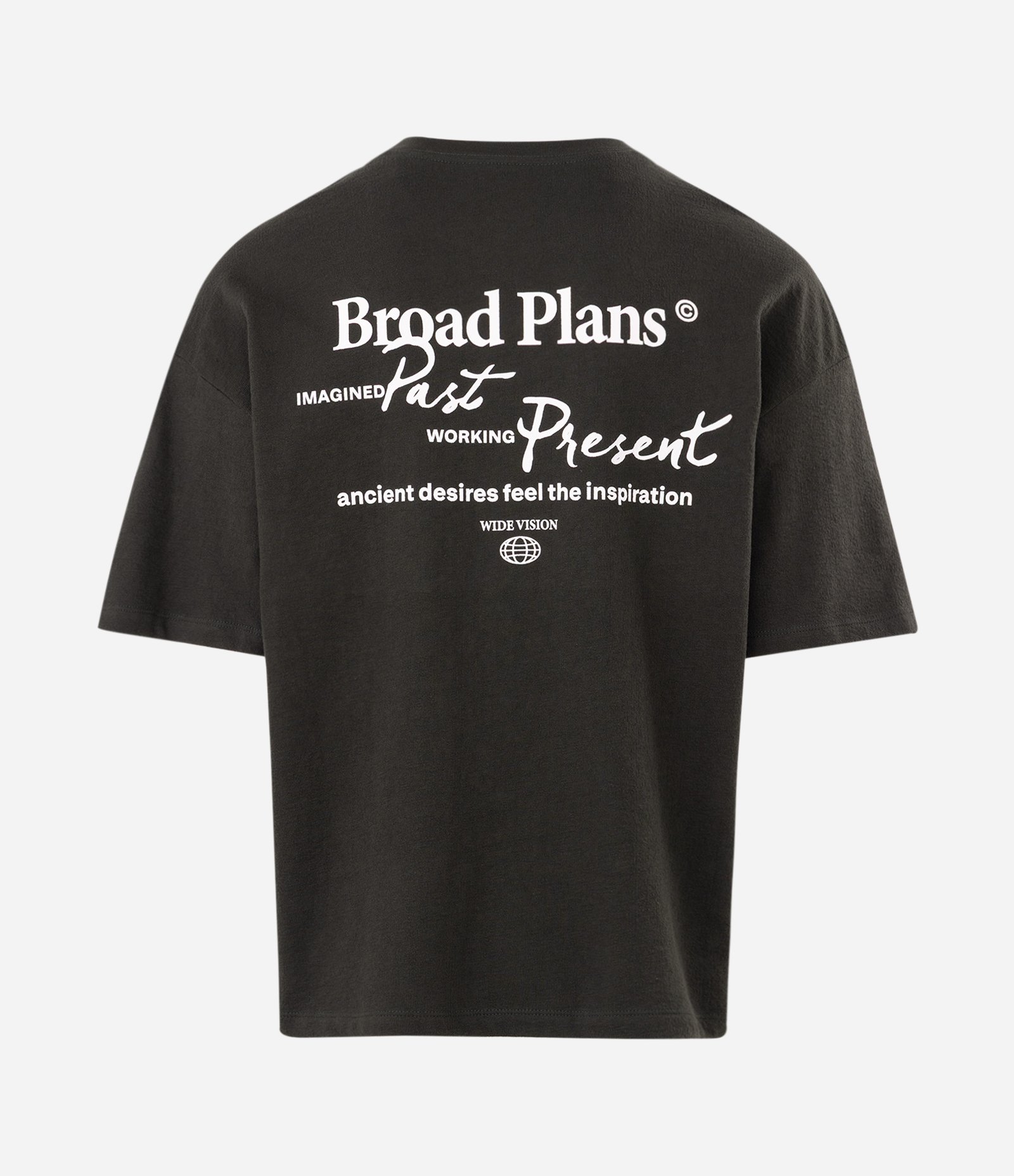 Camiseta Oversized Broad Plans Verde 2