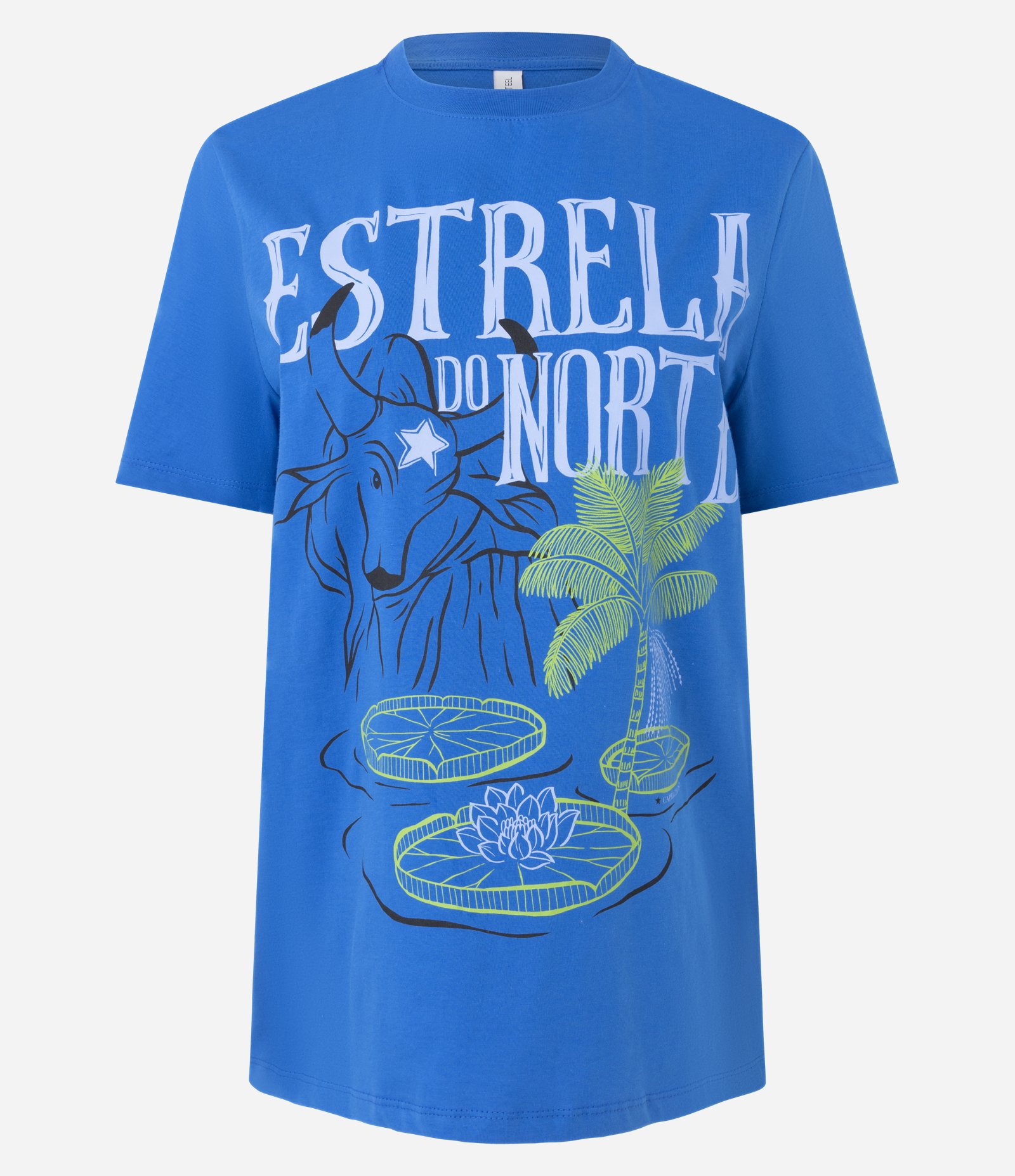 Camiseta em Algodão com Estampa Estrela do Norte Azul 5