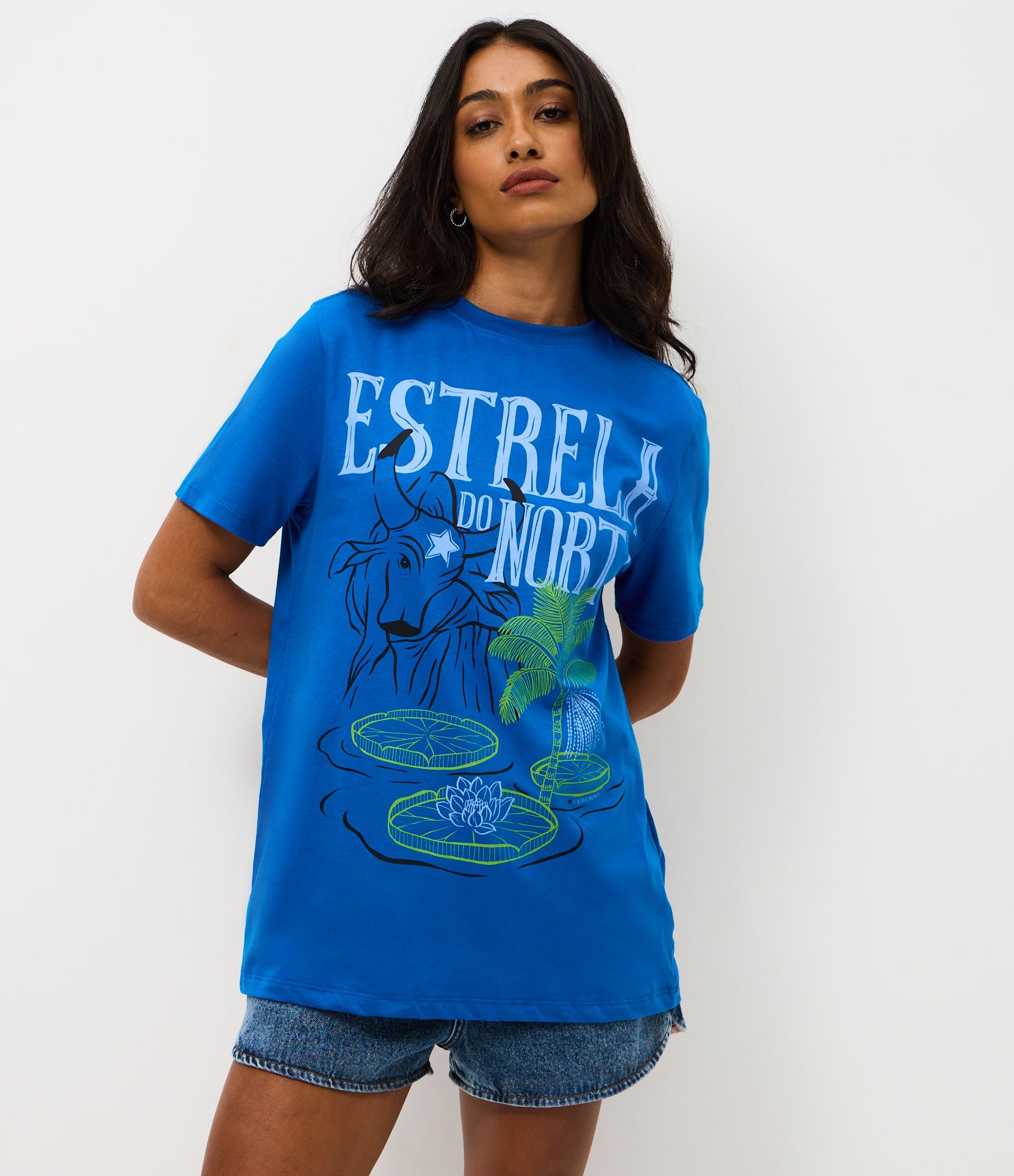 Camiseta em Algodão com Estampa Estrela do Norte Azul 1