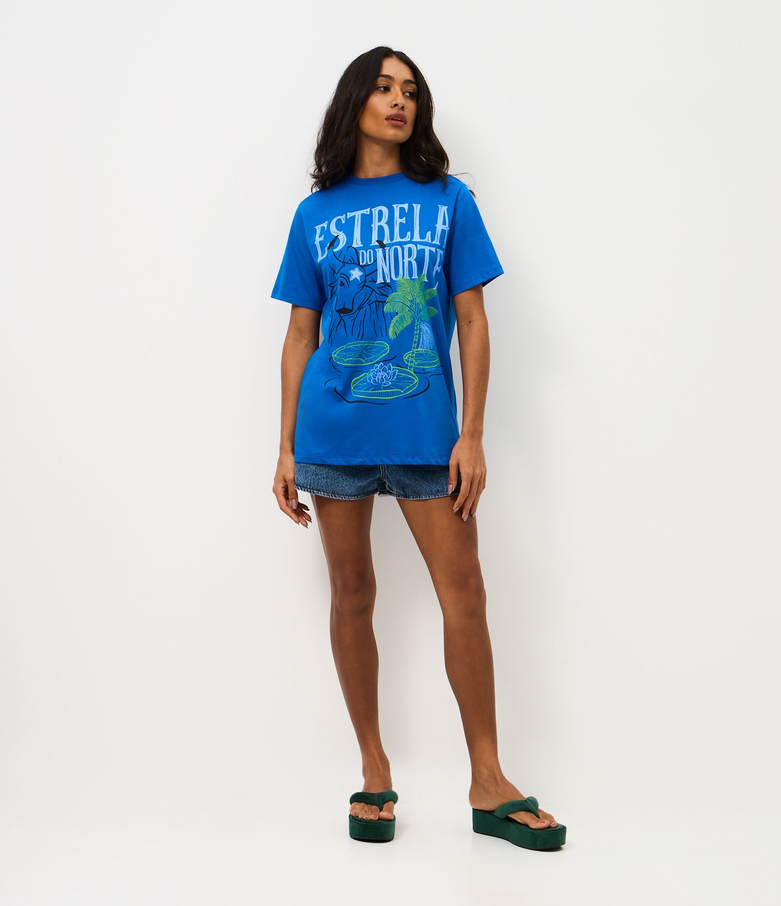 Camiseta em Algodão com Estampa Estrela do Norte Azul 2
