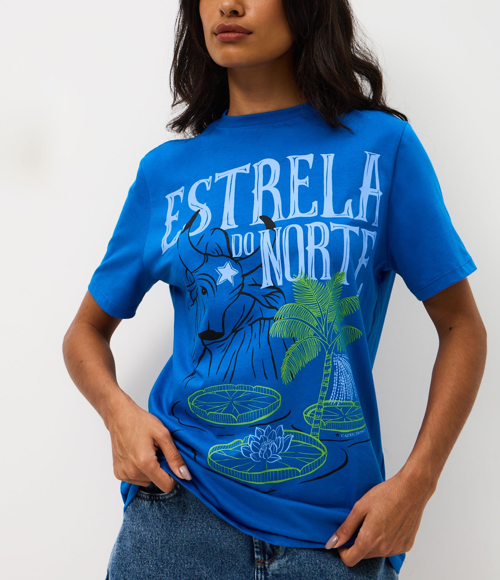 Camiseta em Algodão com Estampa Estrela do Norte Azul 4