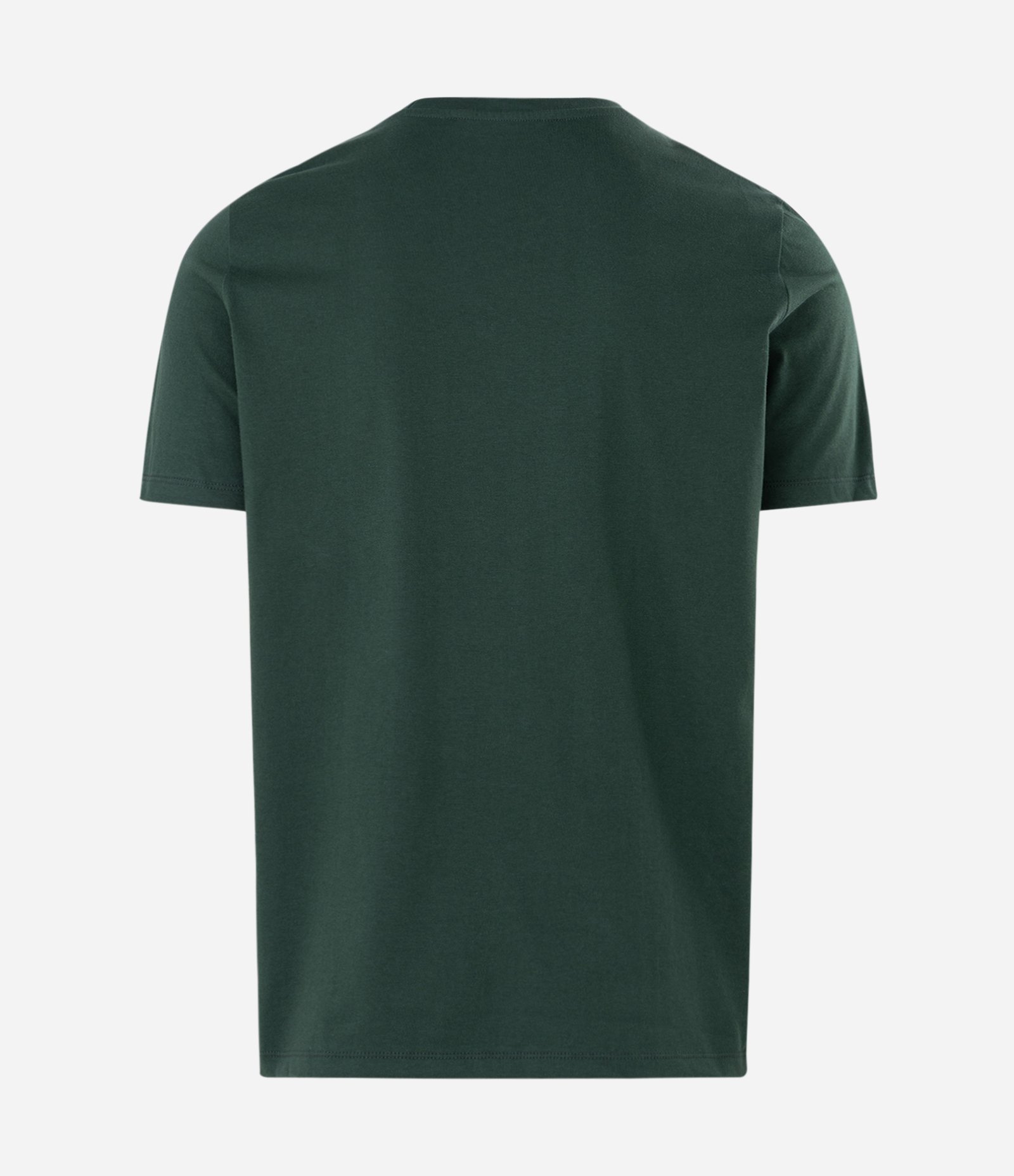 Camiseta Manga Curta com Lettering Brasil Verde 2