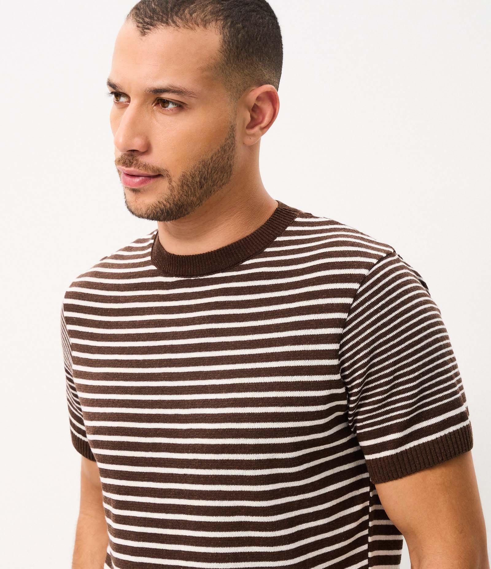 Camiseta Regular Listrada Marrom 4