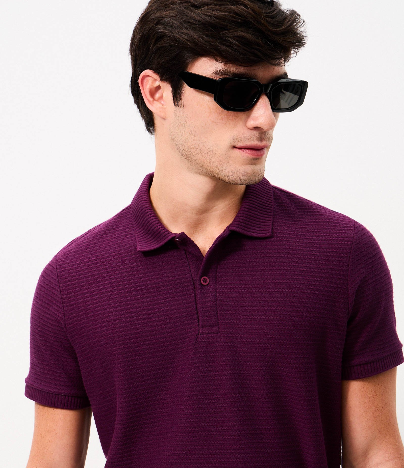 Camisa Polo Regular em Jacquard Texturizada Roxo 4
