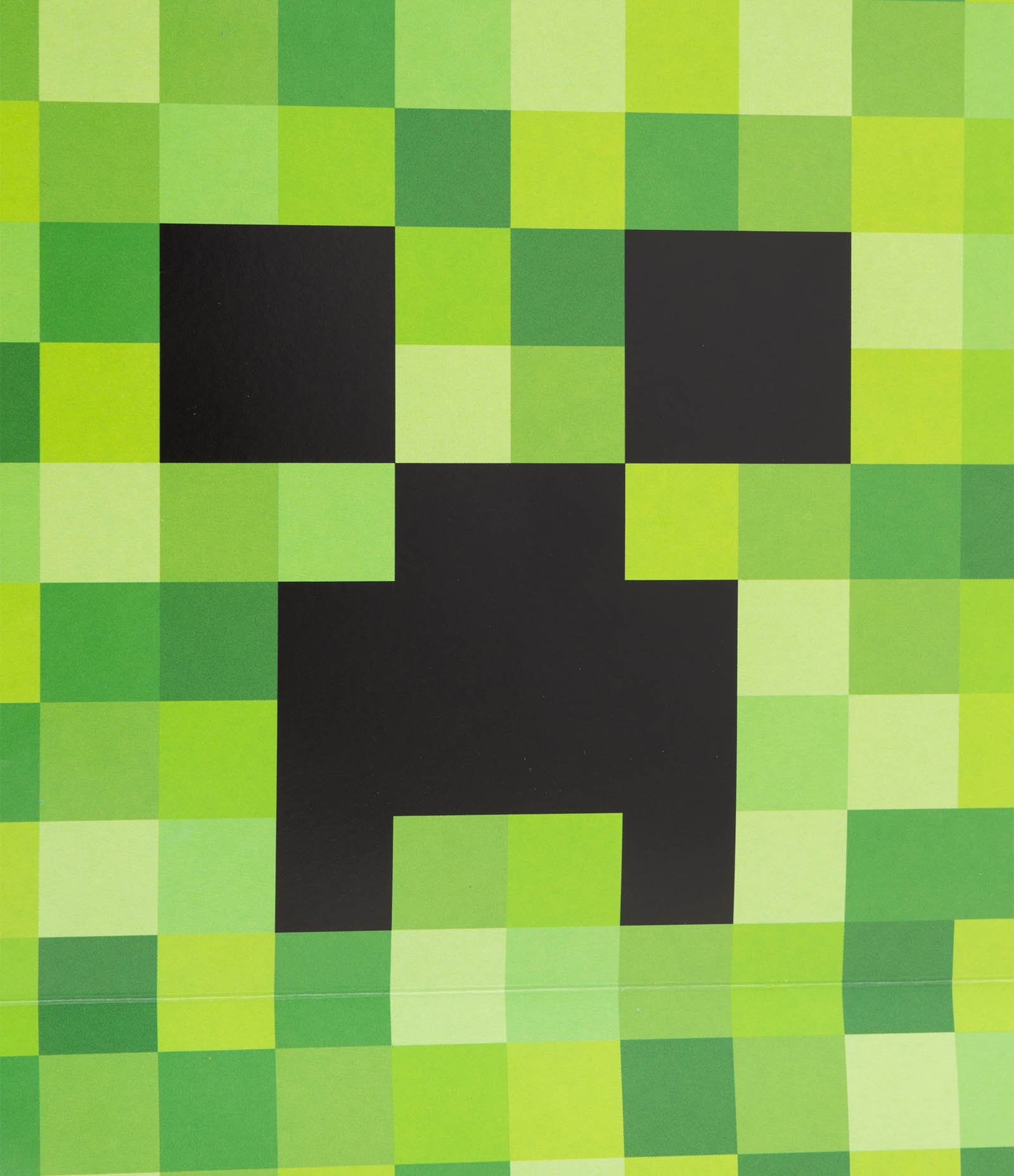 Embalagem de Presente Pequena com Estampa Minecraft Verde 2