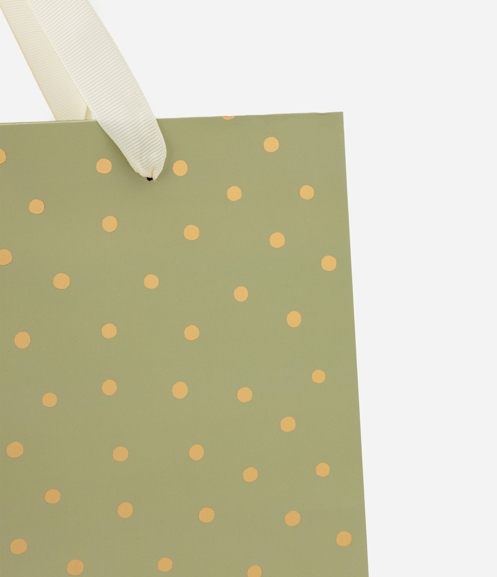 Embalagem para Presente Médio em Papel com Estampa Poá Verde 2
