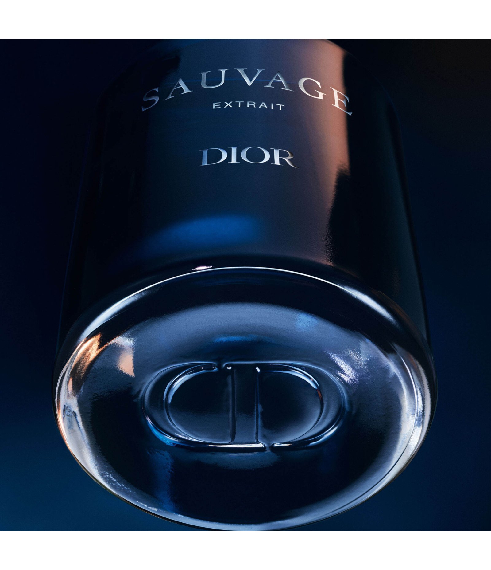 Dior Sauvage Extrato de Perfume 50ML 50ml 2
