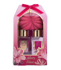 Kit Vanilla Sugar com Hidratante Corporal + Sabonete Liquido + Esponja para Banho Alchemia